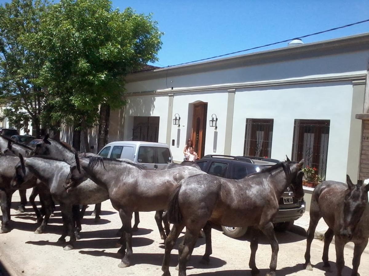 Bed and Breakfast La Posada De Don Segundo San Antonio de Areco Zewnętrze zdjęcie